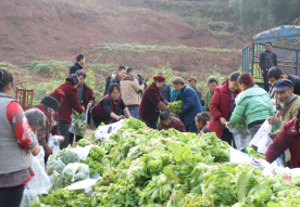 图片9.png 图片9.png