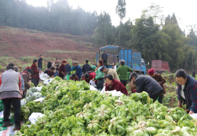 图片8.png 图片8.png