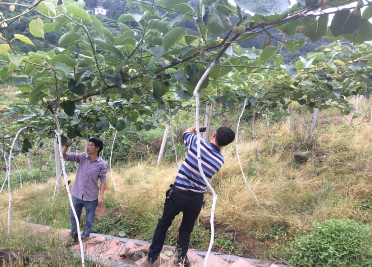 图片14.png 图片14.png